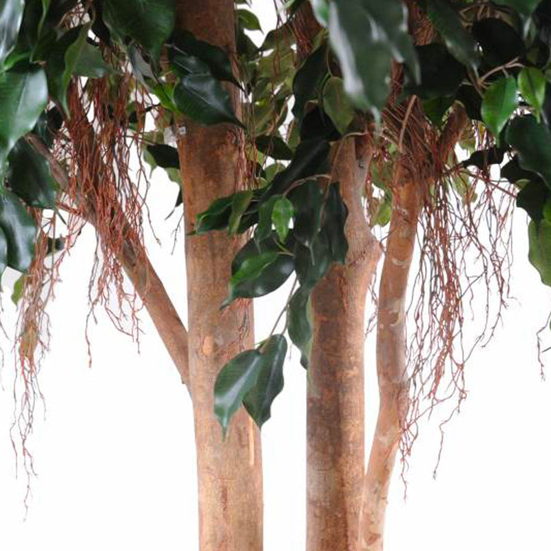 Ficus exotica géant PLANTES ARTIFICIELLES 