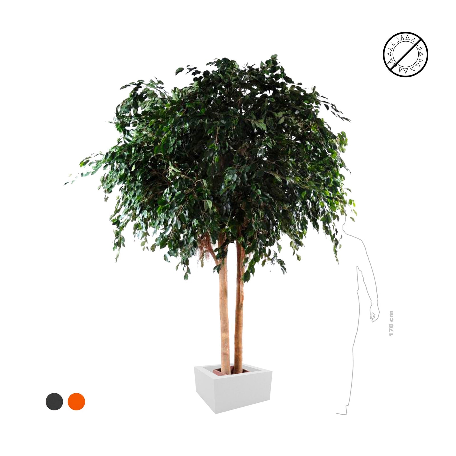 Ficus exotica géant PLANTES ARTIFICIELLES 