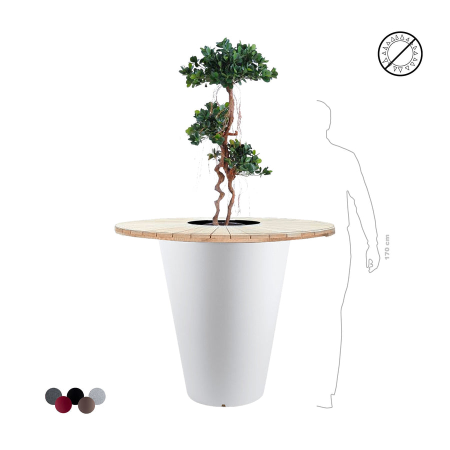 Ficus panda "Mange debout" Otium PLANTES ARTIFICIELLES 