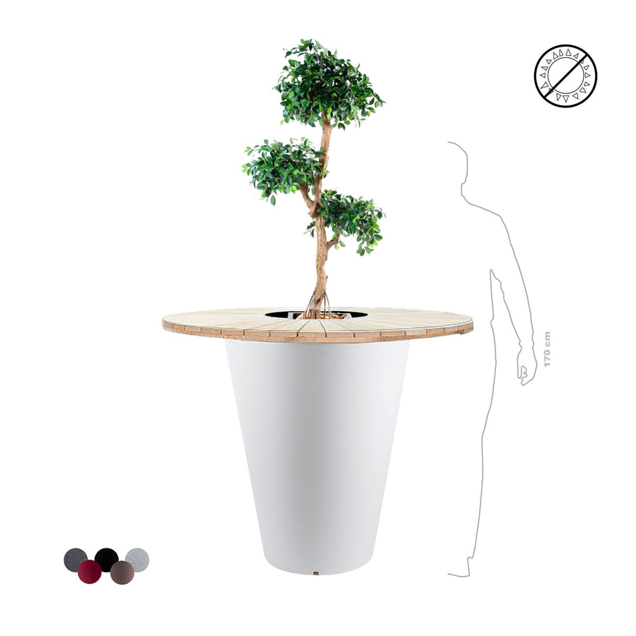Ficus retusa "Mange debout" Otium PLANTES ARTIFICIELLES 