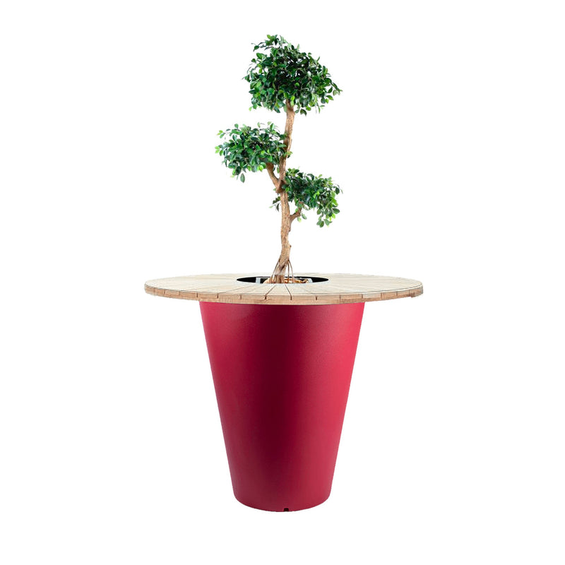 Ficus retusa "Mange debout" Otium PLANTES ARTIFICIELLES Location/Entretien (HT/mois) Rouge 
