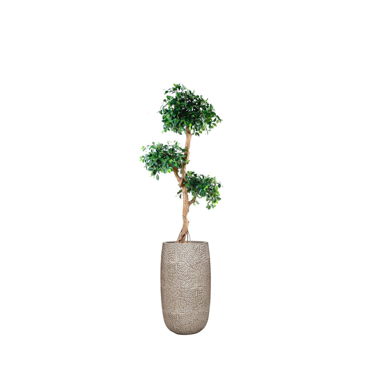 Ficus Retusa Marly36 PLANTES ARTIFICIELLES Location/Entretien (HT/mois) Blanc 