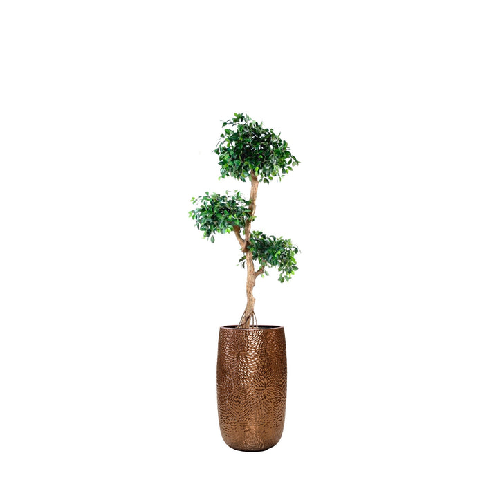 Ficus Retusa Marly36 PLANTES ARTIFICIELLES Location/Entretien (HT/mois) Or 