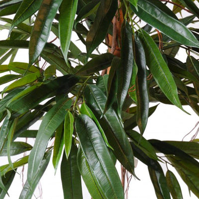 Ficus Royal Osier43 PLANTES ARTIFICIELLES 