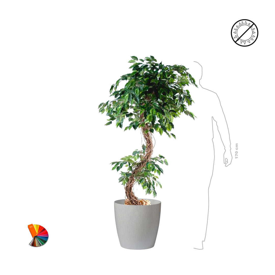 Ficus S regular43 PLANTES ARTIFICIELLES 