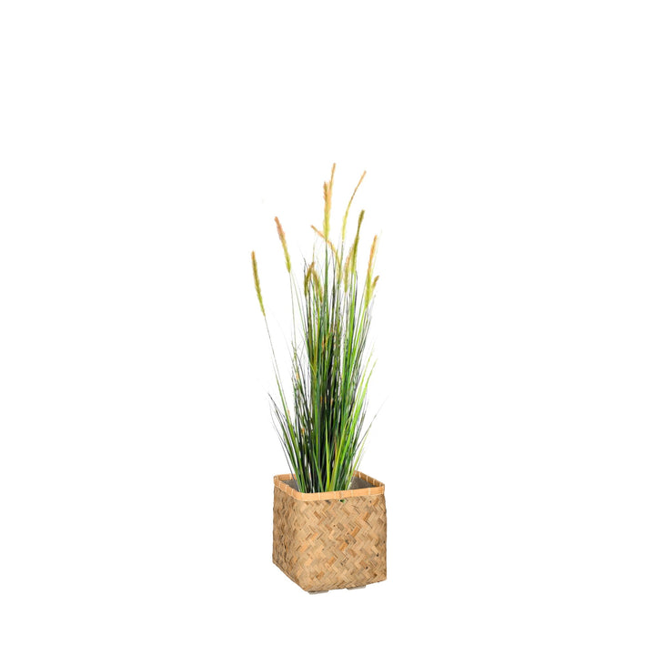 Foxtail Bohemian Bamboo PLANTES ARTIFICIELLES Location/Entretien (HT/mois) Naturel 