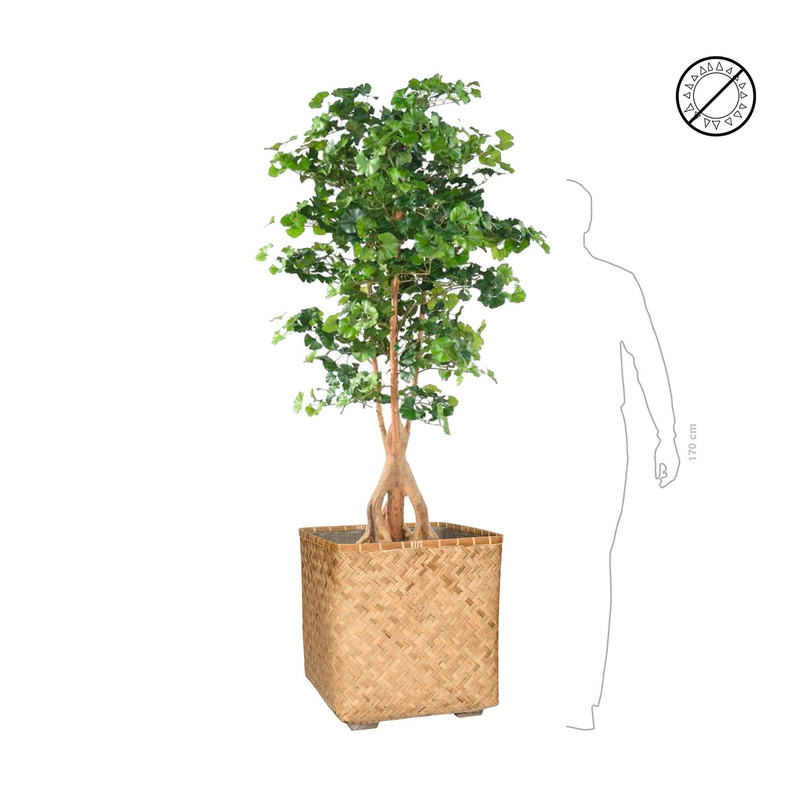 Ginkobiloba Bohemian Bamboo PLANTES ARTIFICIELLES 
