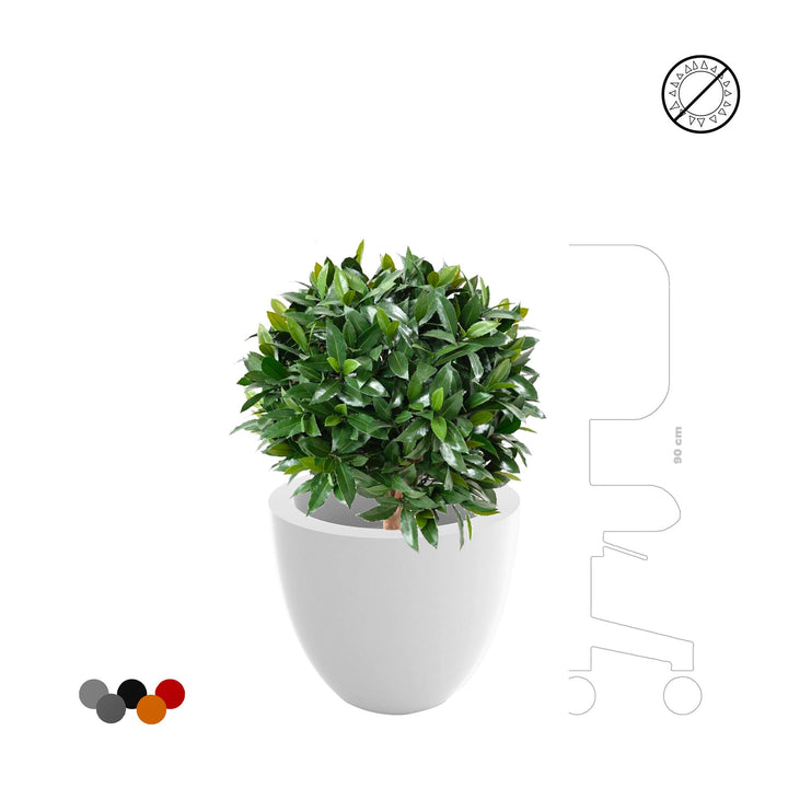 Laurier boule Cuenco40 PLANTES ARTIFICIELLES 