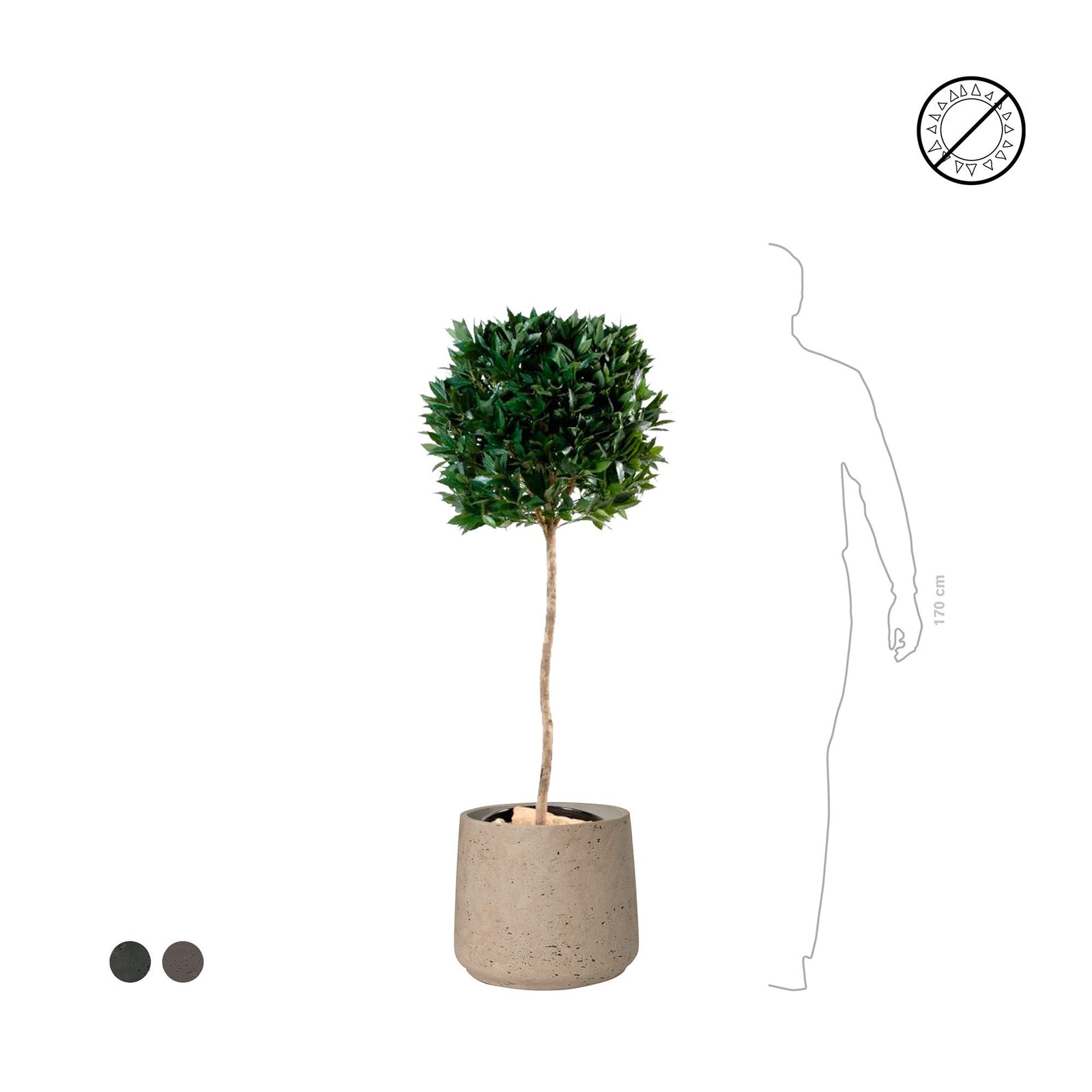 Laurier boule Rough PLANTES ARTIFICIELLES 