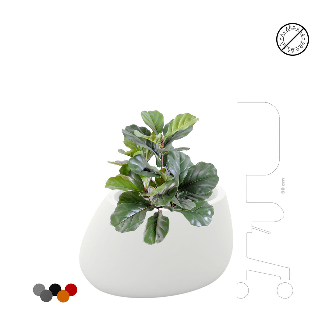 Lyrata Stone80 PLANTES ARTIFICIELLES 