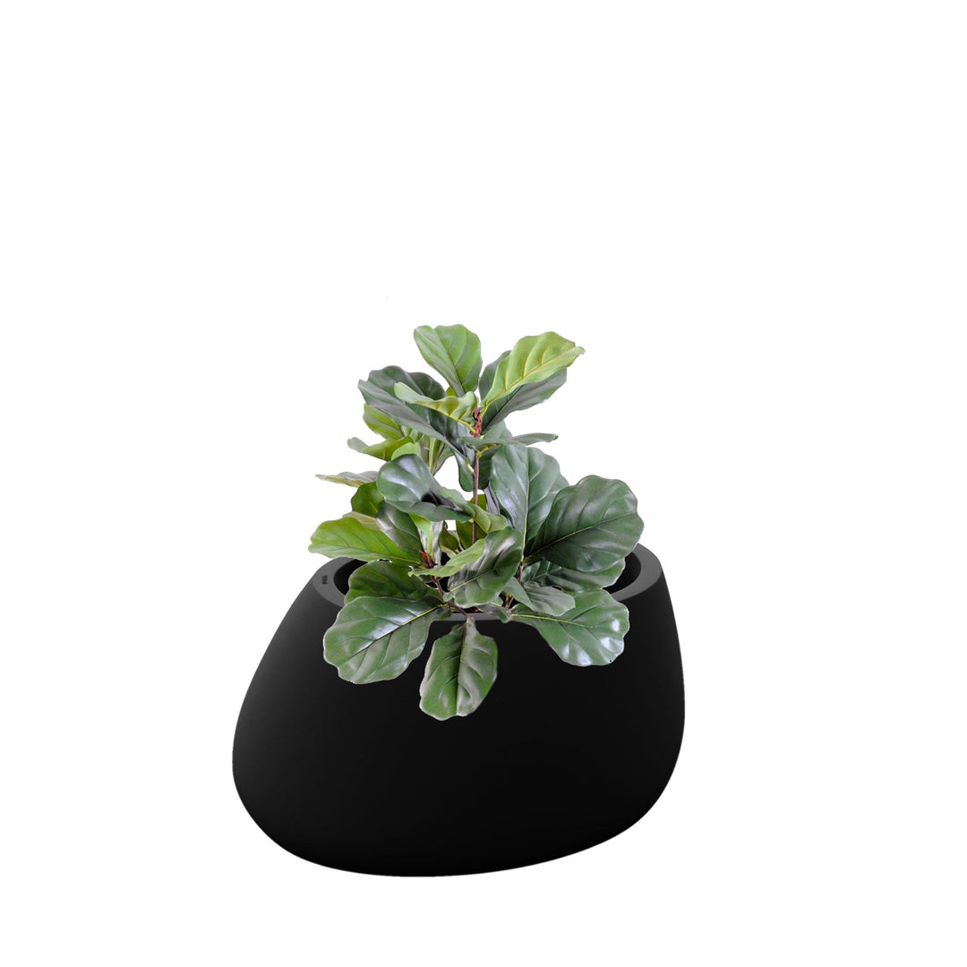 Lyrata Stone80 PLANTES ARTIFICIELLES Location/Entretien (HT/mois) Noir 