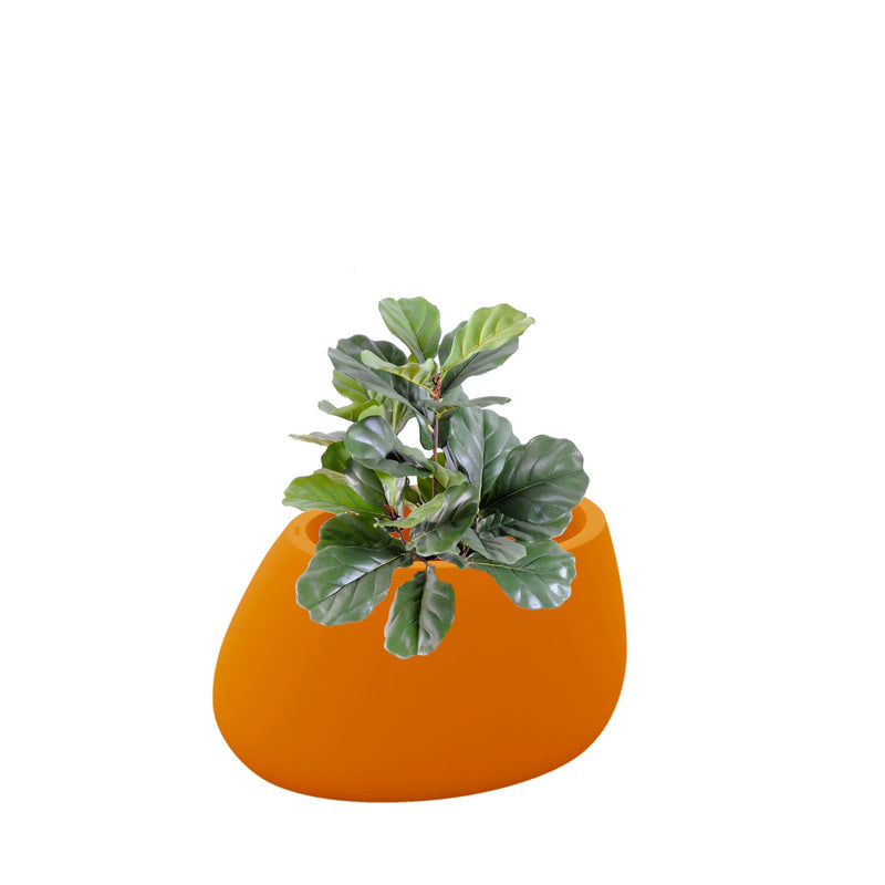 Lyrata Stone80 PLANTES ARTIFICIELLES Location/Entretien (HT/mois) Orange 