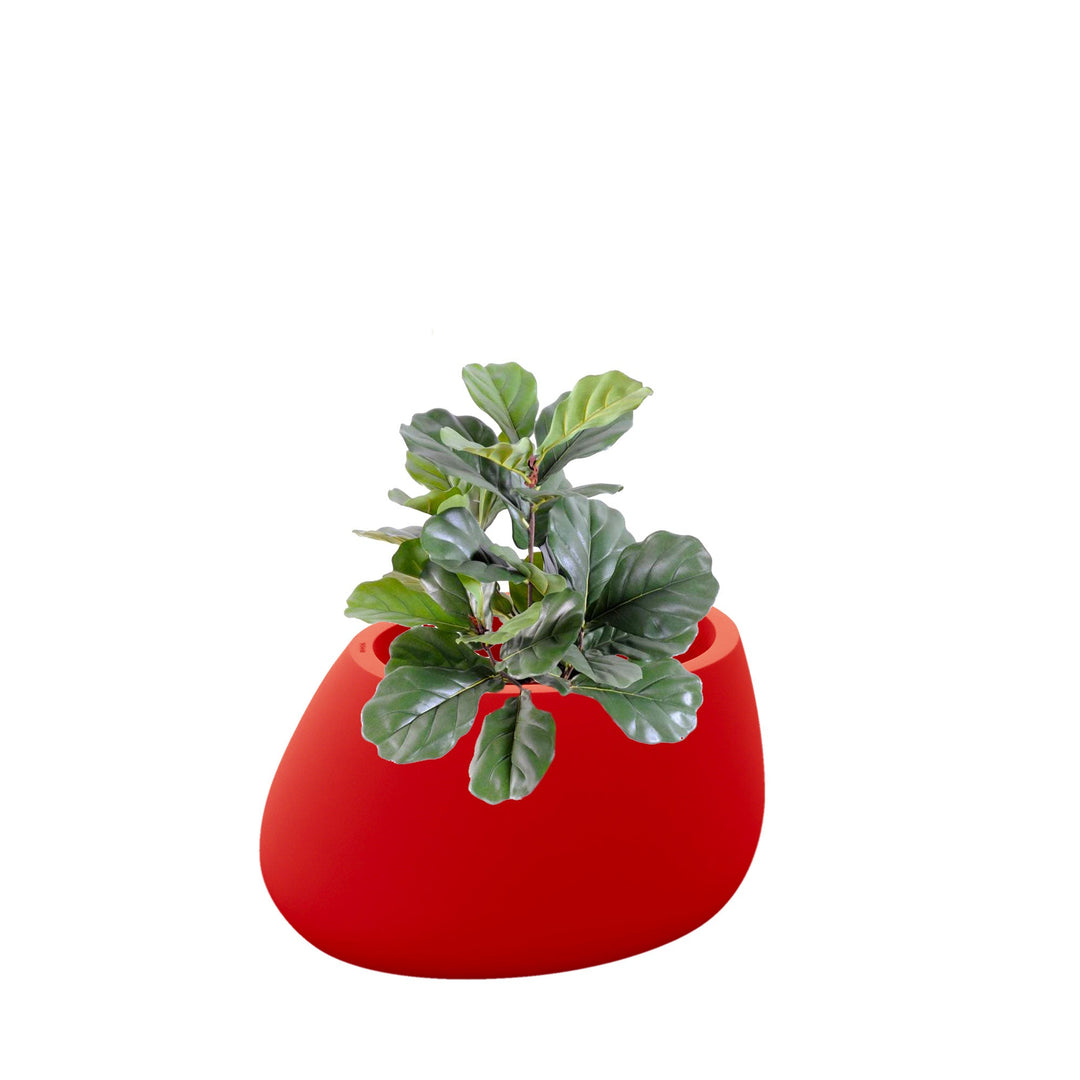 Lyrata Stone80 PLANTES ARTIFICIELLES Location/Entretien (HT/mois) Rouge 