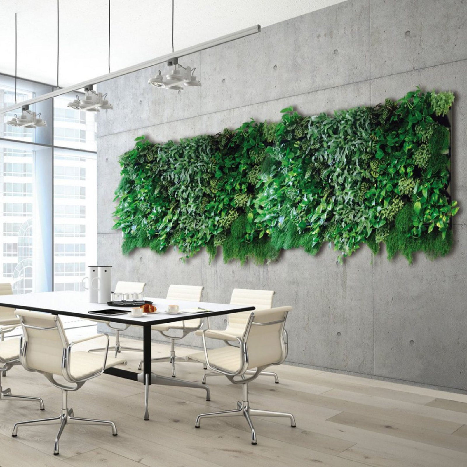 Mur végétal modulable PLANTES ET POTS DE BUREAUX 