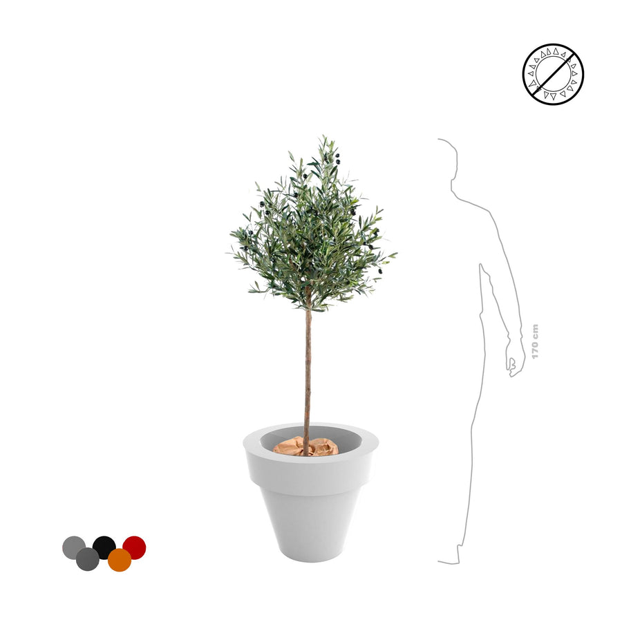 Olivier Maceta50 PLANTES ARTIFICIELLES 
