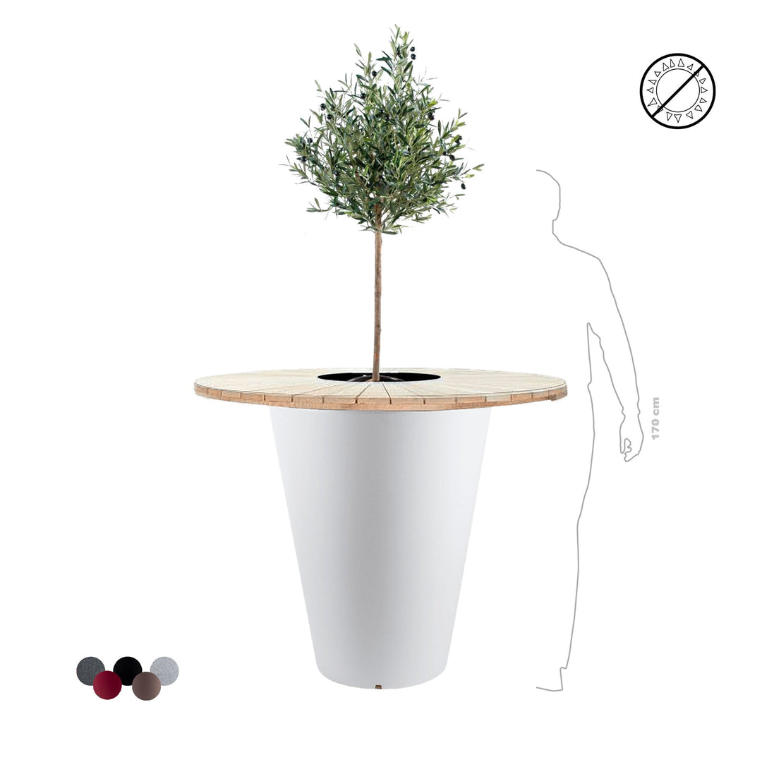 Olivier "Mange debout" Otium PLANTES ARTIFICIELLES 