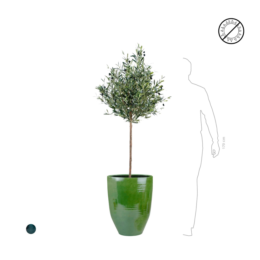 Olivier One&Only PLANTES ARTIFICIELLES 