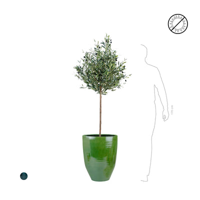 Olivier One&Only PLANTES ARTIFICIELLES 