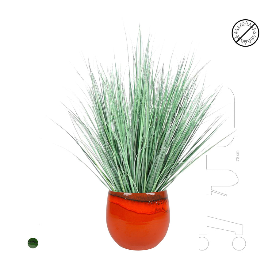 Onion grass charlotte pot PLANTES ARTIFICIELLES 