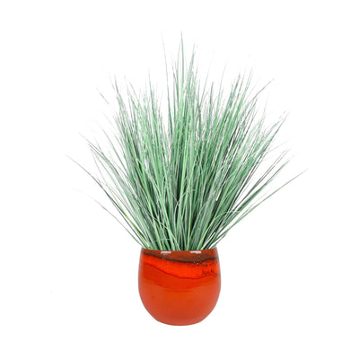 Onion grass charlotte pot PLANTES ARTIFICIELLES Location/Entretien (HT/mois) Orange 