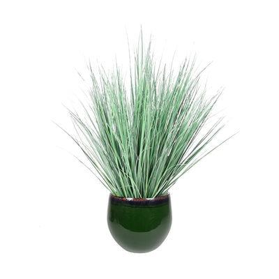Onion grass charlotte pot PLANTES ARTIFICIELLES Location/Entretien (HT/mois) Vert 