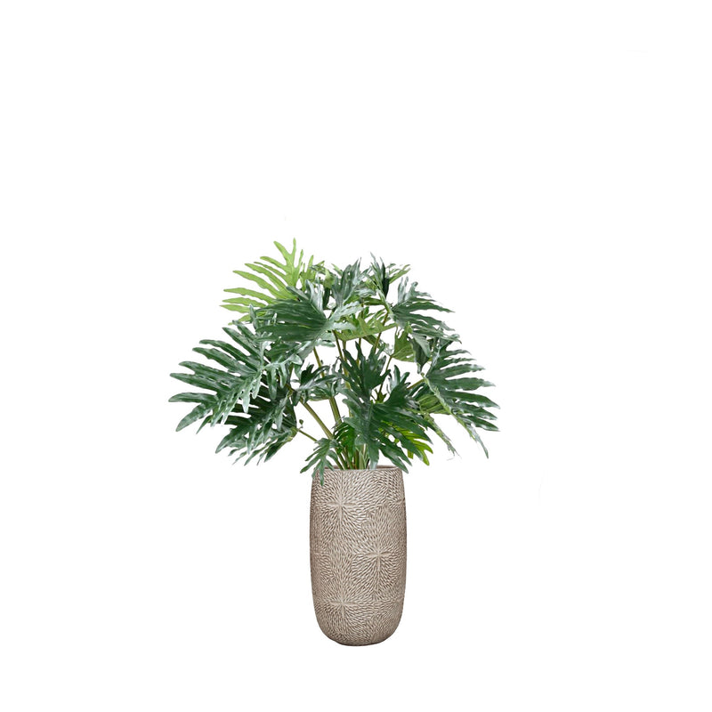 Philodendron Marly36 PLANTES ARTIFICIELLES Location/Entretien (HT/mois) Blanc 