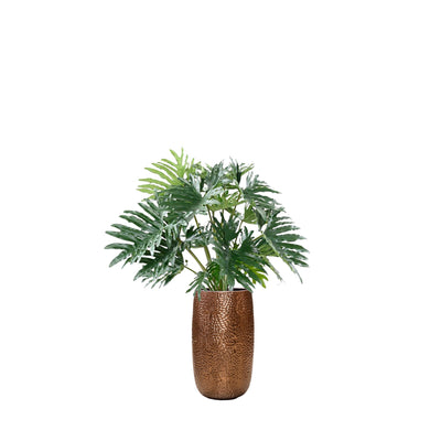 Philodendron Marly36 PLANTES ARTIFICIELLES Location/Entretien (HT/mois) Or 