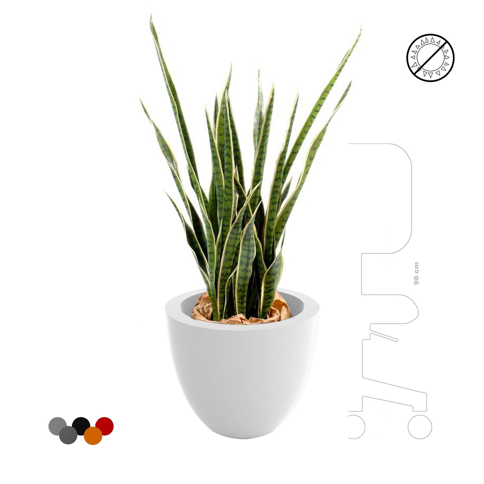 Sansevieria Cuenco50 PLANTES ARTIFICIELLES 
