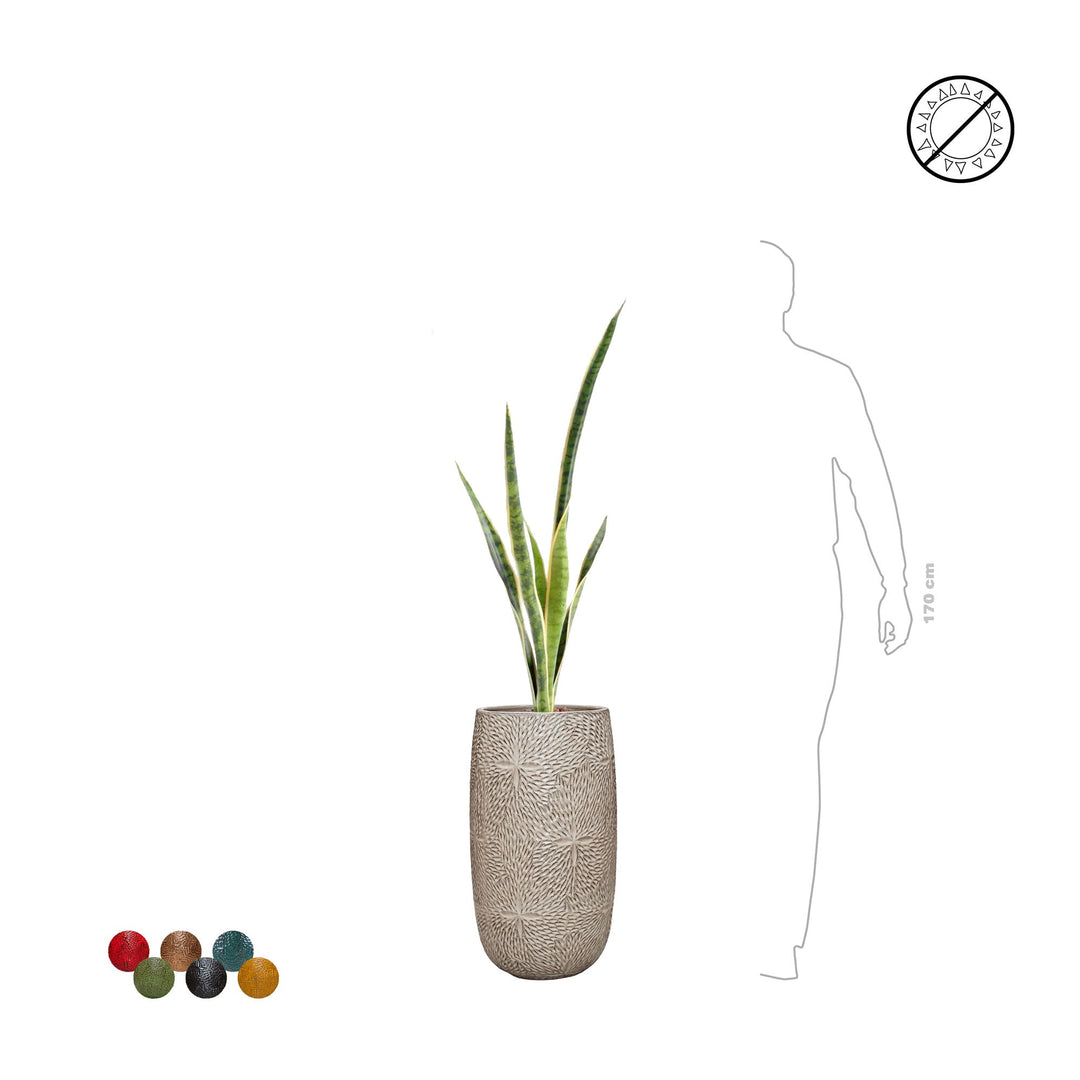 Sansevieria Marly36 PLANTES ARTIFICIELLES 