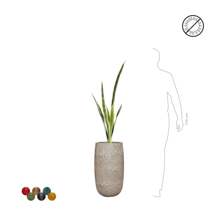 Sansevieria Marly36 PLANTES ARTIFICIELLES 