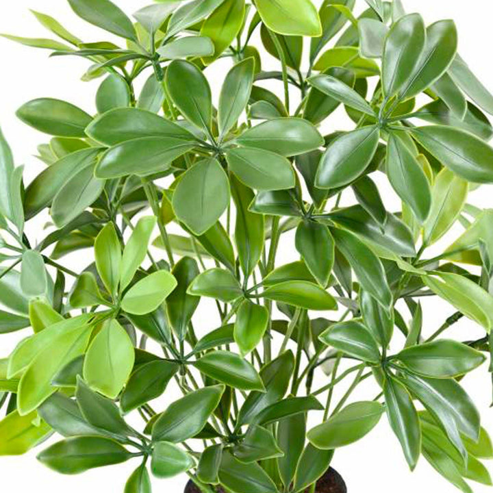 Schefflera Rattan PLANTES ARTIFICIELLES 