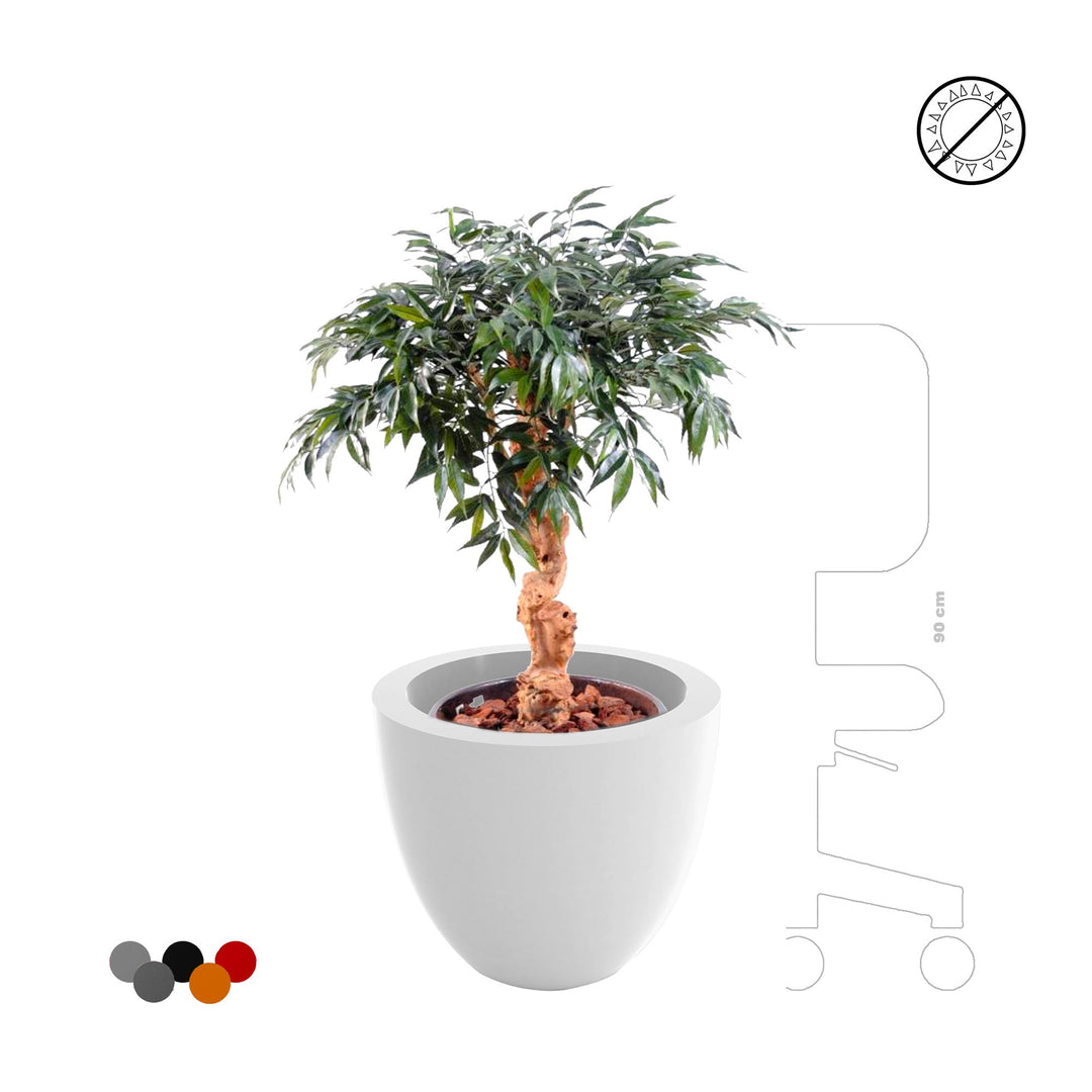 Shirakashi Cuenco40 PLANTES ARTIFICIELLES 