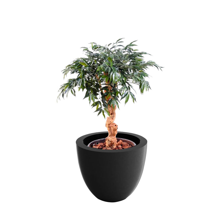 Shirakashi Cuenco40 PLANTES ARTIFICIELLES Location/Entretien (HT/mois) Anthracite 