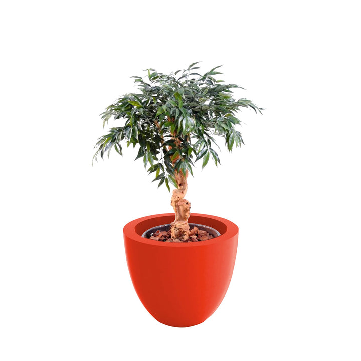 Shirakashi Cuenco40 PLANTES ARTIFICIELLES Location/Entretien (HT/mois) Rouge 