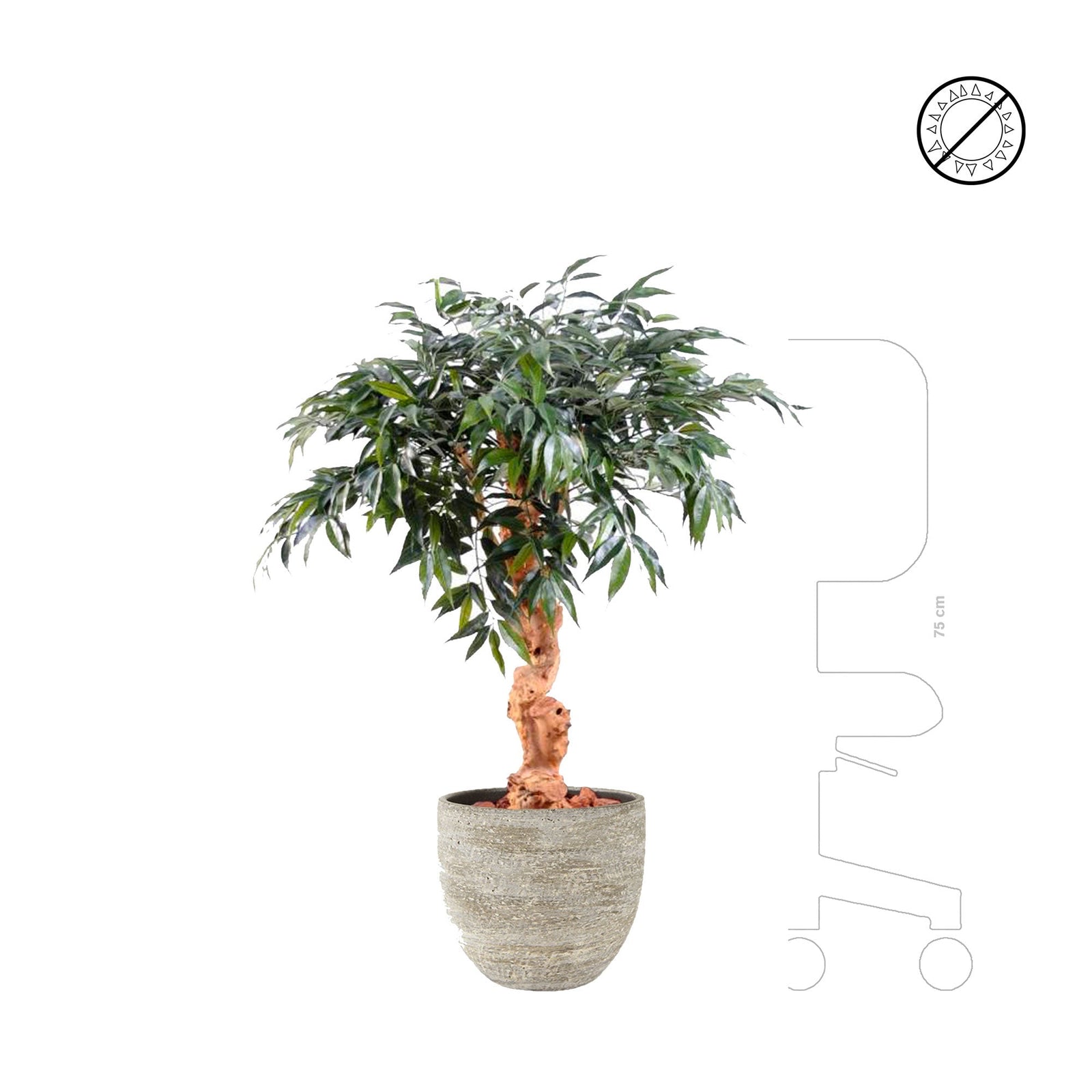 Shirakashi Karlijn Earth PLANTES ARTIFICIELLES 