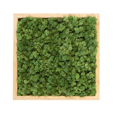 Tableau lichen vert mint carré 40x40 PLANTES ET POTS DE BUREAUX  en bois