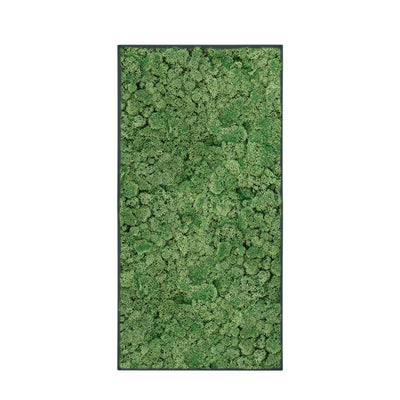 Tableau Lichen Vert mousse 100x50 Anthracite 