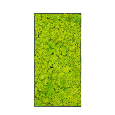 Tableau Lichen Vert printemps 100x50 PLANTES ET POTS DE BUREAUX Anthracite 
