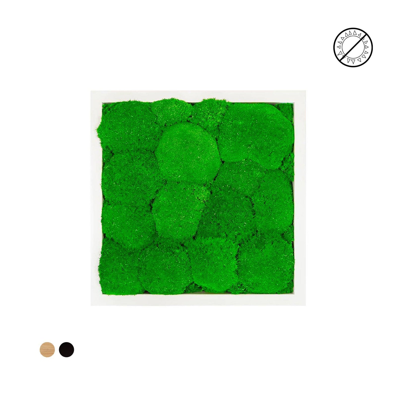 Tableau mousse boule carré 40x40 PLANTES ET POTS DE BUREAUX 