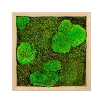 Tableau mousse mixte carré 60x60 PLANTES ET POTS DE BUREAUX en bois