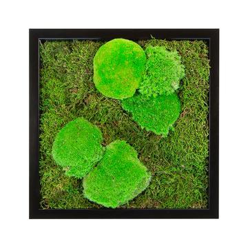 Tableau mousse mixte carré 60x60 PLANTES ET POTS DE BUREAUX  noir