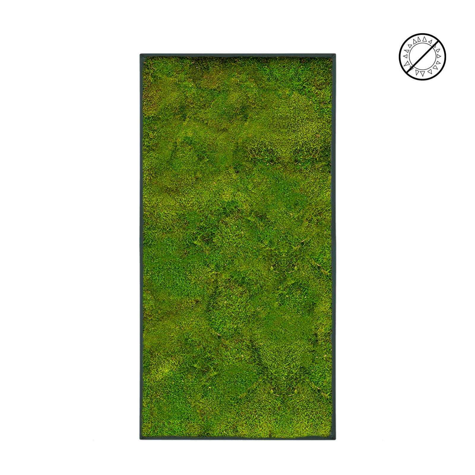 Tableau mousse Plate 100x50 PLANTES ET POTS DE BUREAUX 