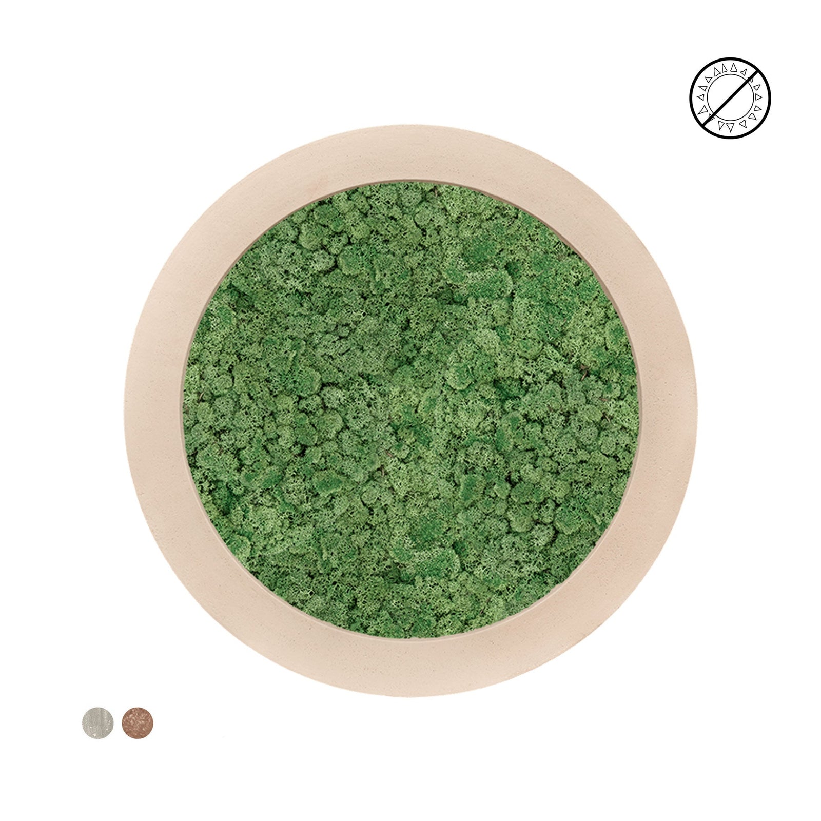 Tableau rond lichen vert 80 PLANTES ET POTS DE BUREAUX 