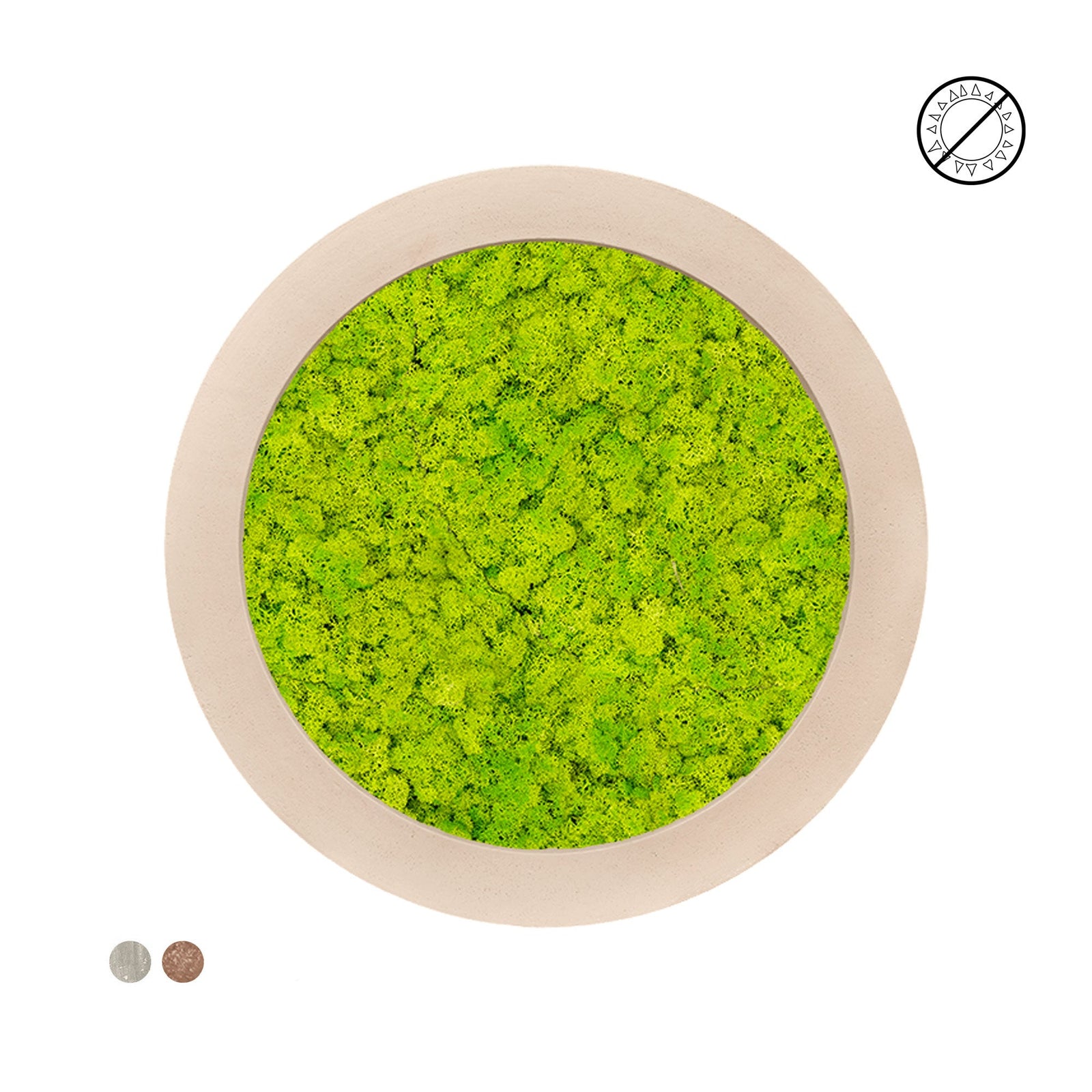 Tableau rond Lichen Vert printemps 80 PLANTES ET POTS DE BUREAUX 