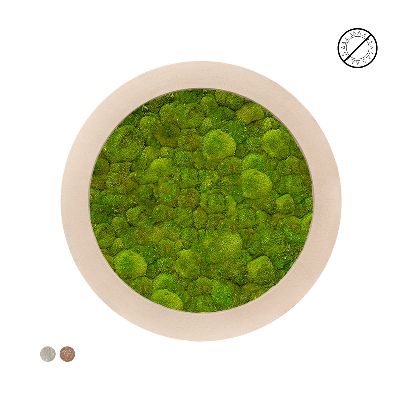 Tableau rond mousse boule 80 PLANTES ET POTS DE BUREAUX 