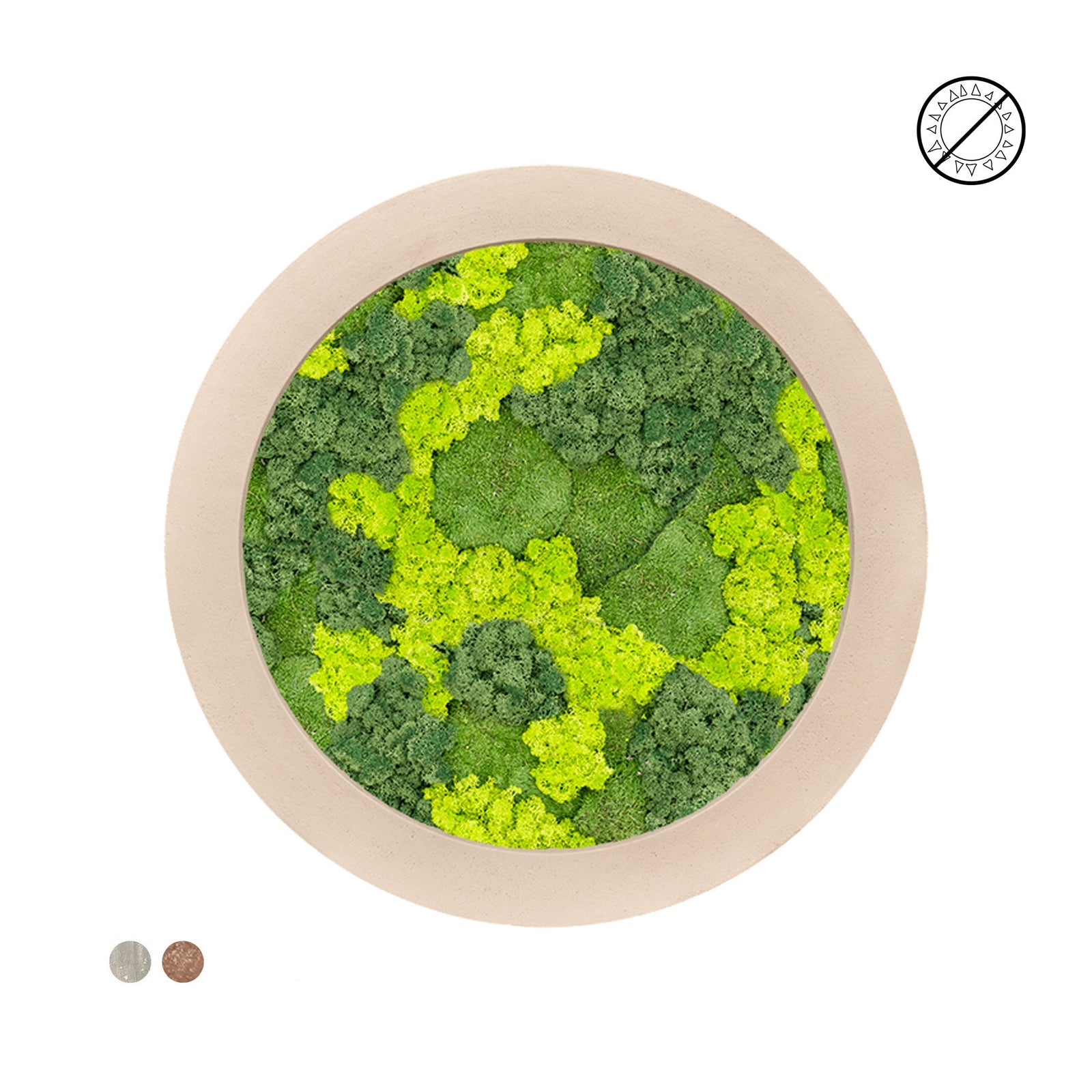 Tableau rond mousse et lichen mixte 80 PLANTES ET POTS DE BUREAUX 