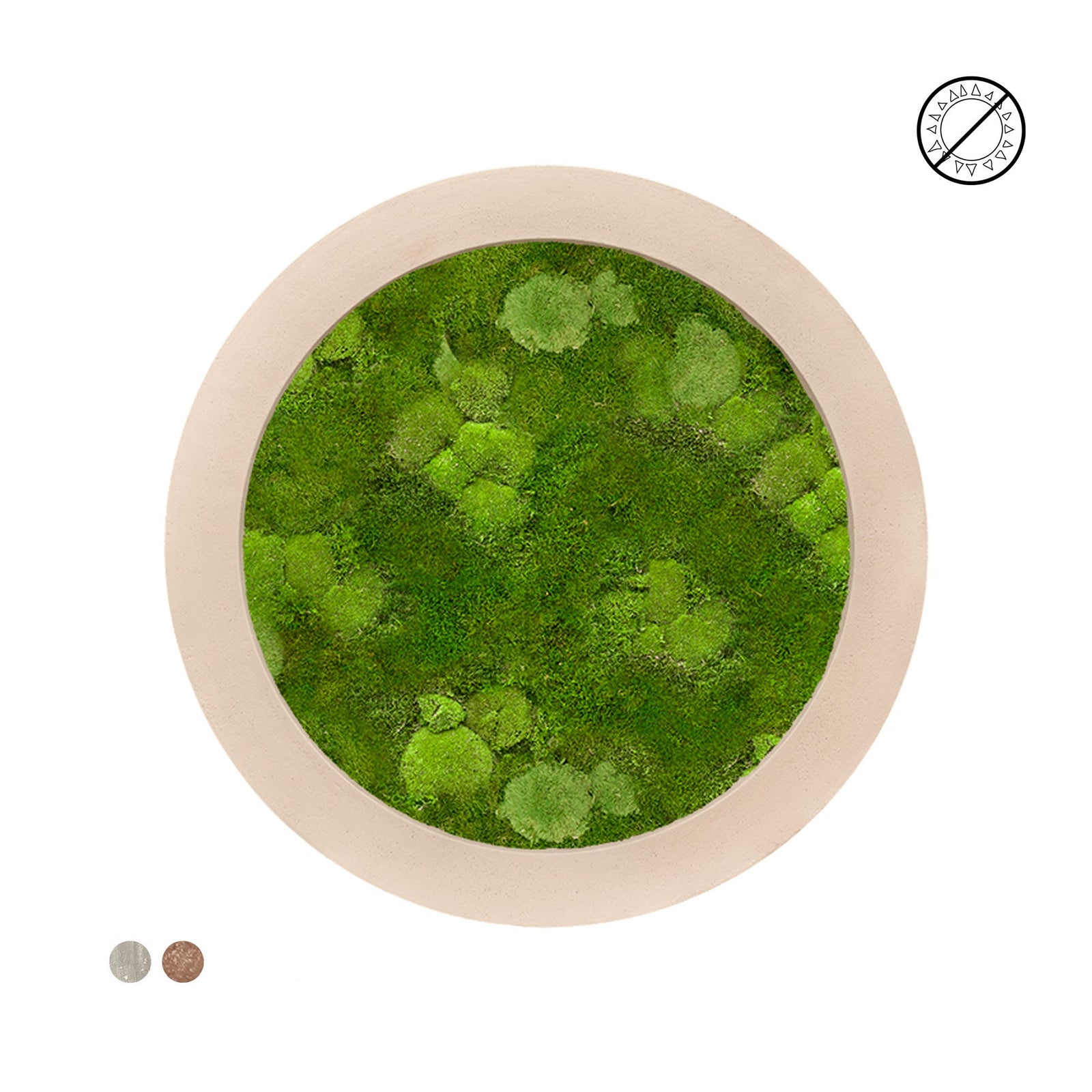 Tableau rond mousse mixte 80 PLANTES ET POTS DE BUREAUX 