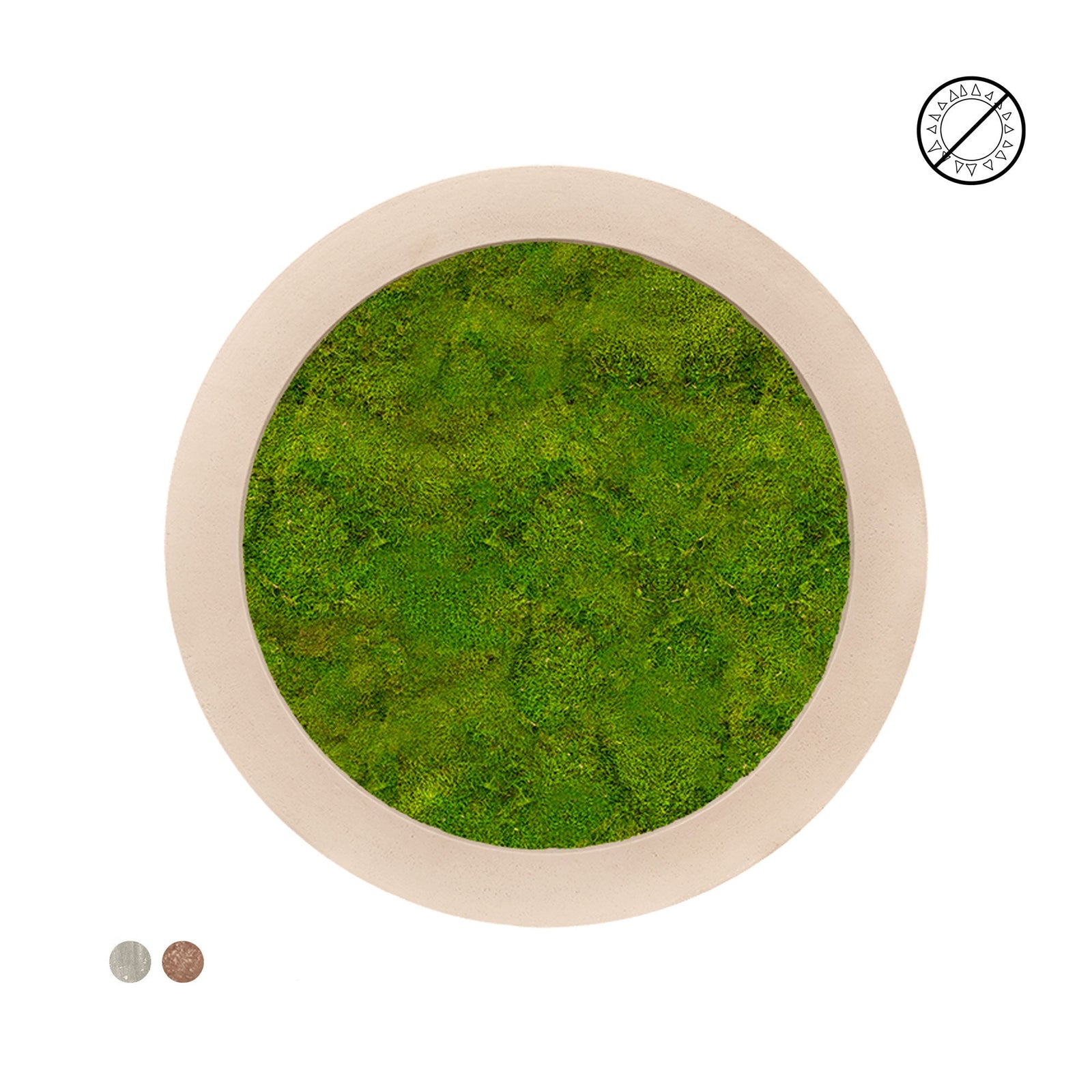 Tableau rond mousse plate 80 PLANTES ET POTS DE BUREAUX 